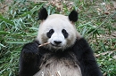 image930