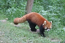 image933