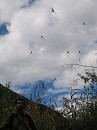 image1005