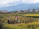 image1052