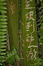 image1108