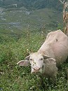 image1080
