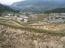 image1094