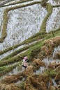 image1099