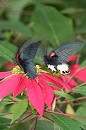 image1168