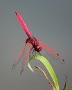 image1205