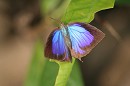 image1206