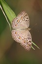 image1207
