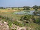 image1248