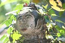 image1253