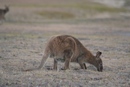 image1467