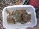 img28